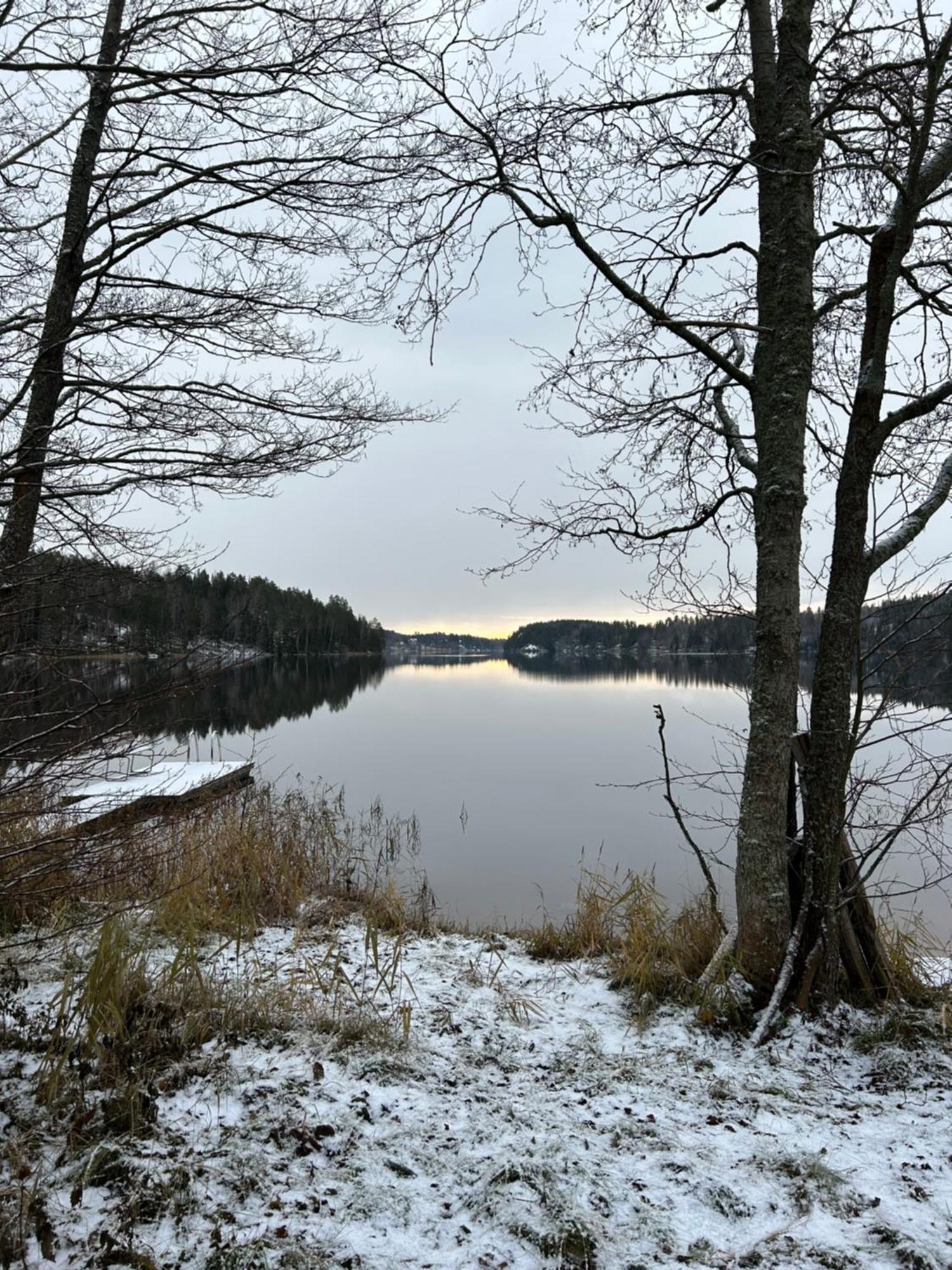 Sauna Cabin In The Heart Of Nuuksio National Park - Moekki Nuuksiossa Espoo Eksteriør billede